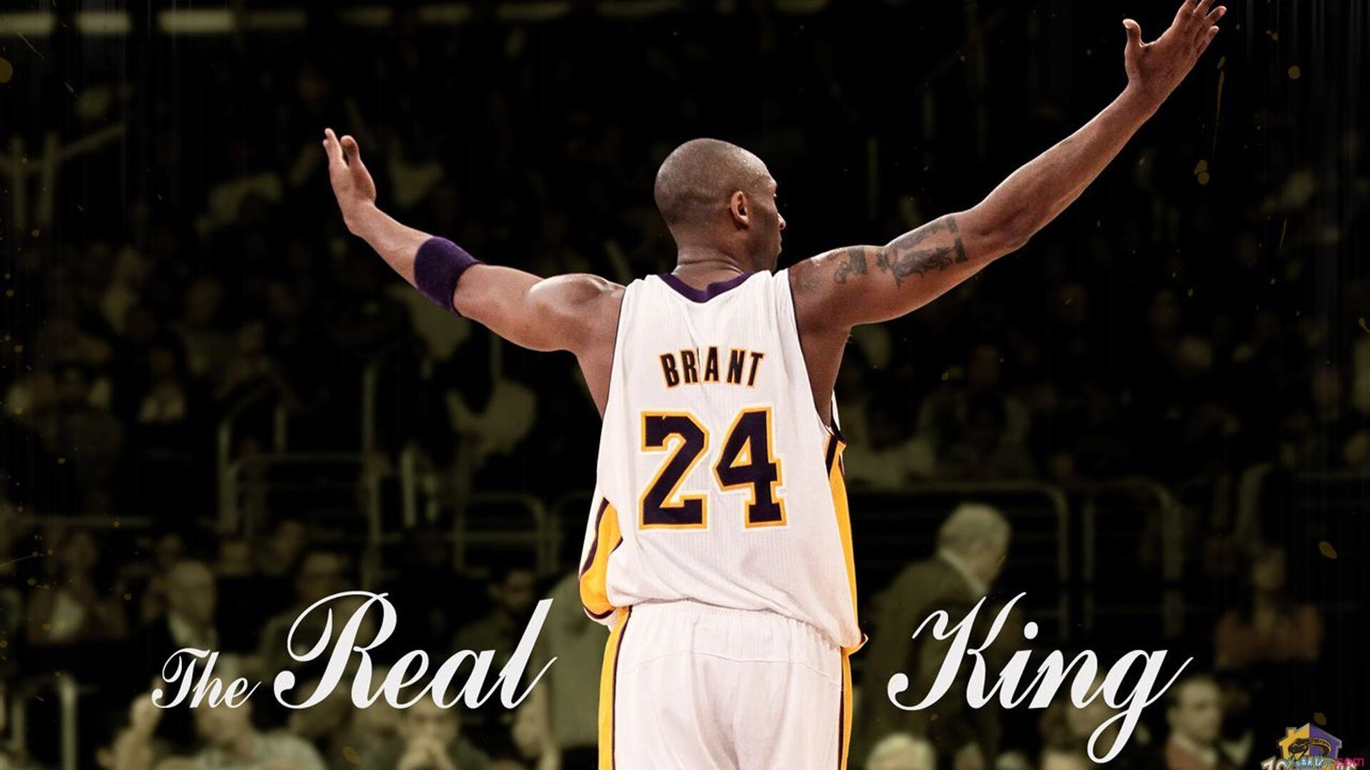 CBA鼓励球迷共创内容增强联赛互动体验,cba主题 口号