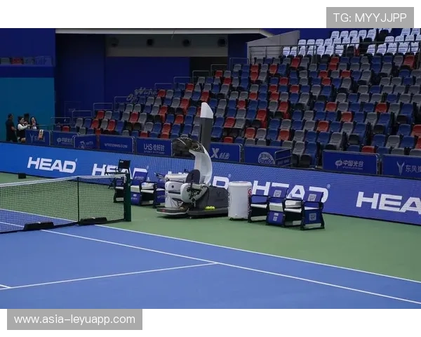 _未来趋势：网球运动的数字化和智能化发展_，网球发展现状