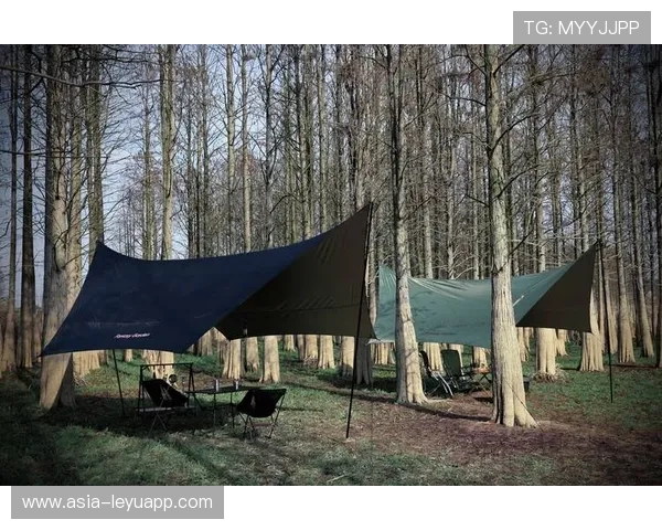 _天幕足球：空中激战点亮夜空_，天幕玩法